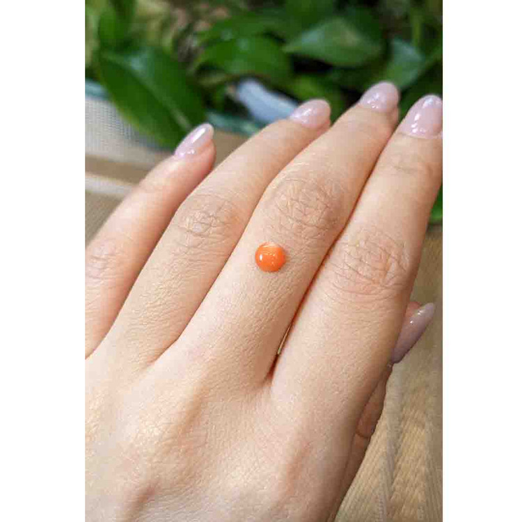 0.40 Ct. Cabochon Coral from Italy