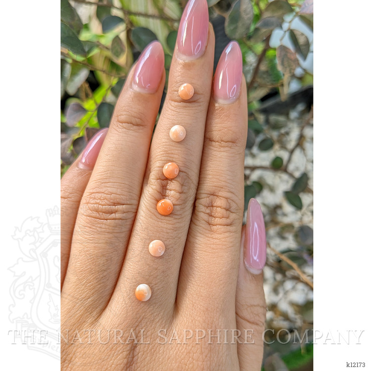 2.92 Ct. Cabochon Coral from Italy