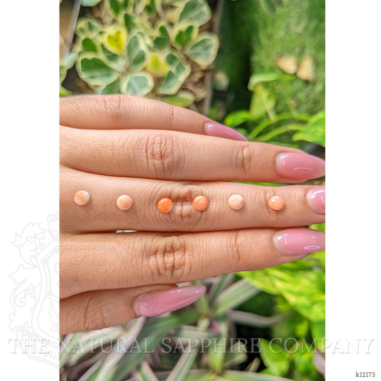 2.92 Ct. Cabochon Coral from Italy