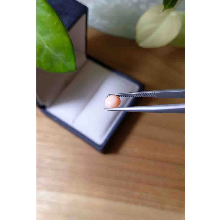 1.07 Ct. Cabochon Coral from Italy