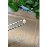 1.37 Ct. Cabochon Coral from Italy Life Style