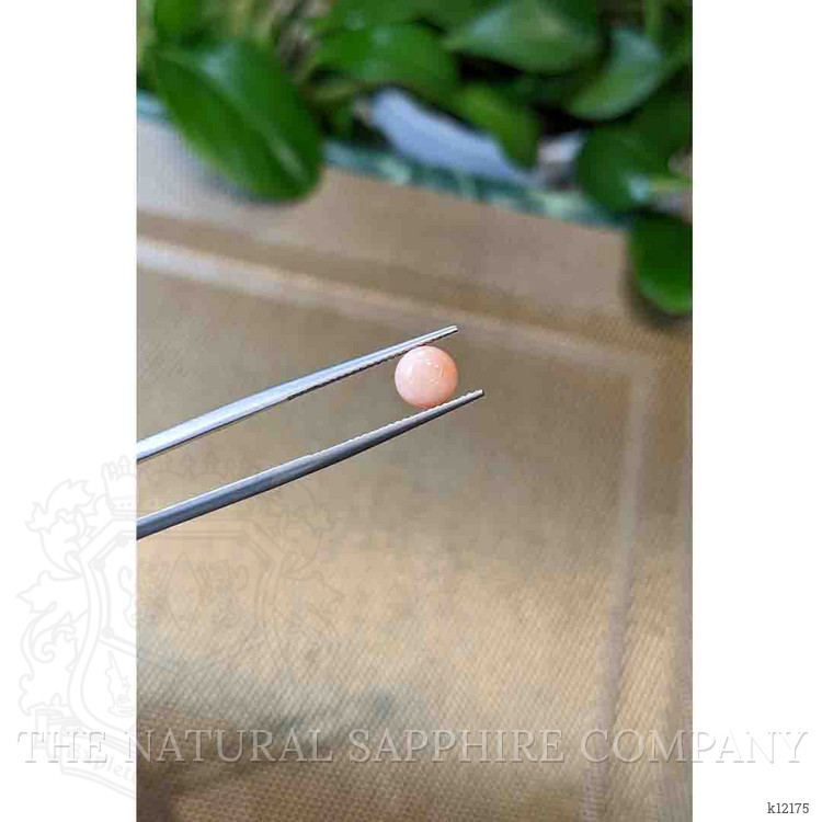 1.37 Ct. Cabochon Coral from Italy