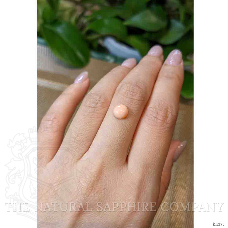 1.37 Ct. Cabochon Coral from Italy
