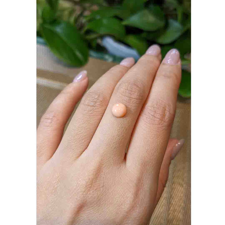 1.37 Ct. Cabochon Coral from Italy