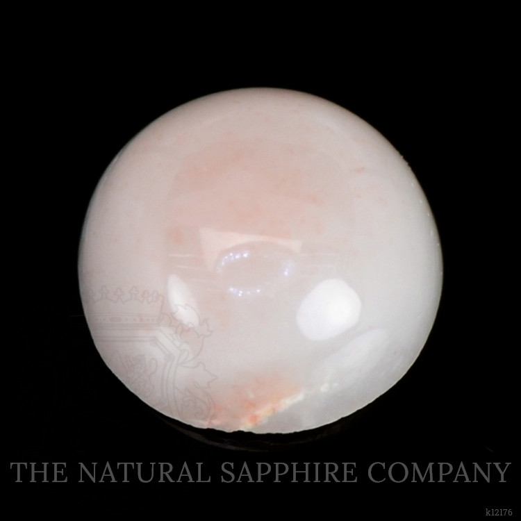 0.24 Ct. Cabochon Coral from Italy