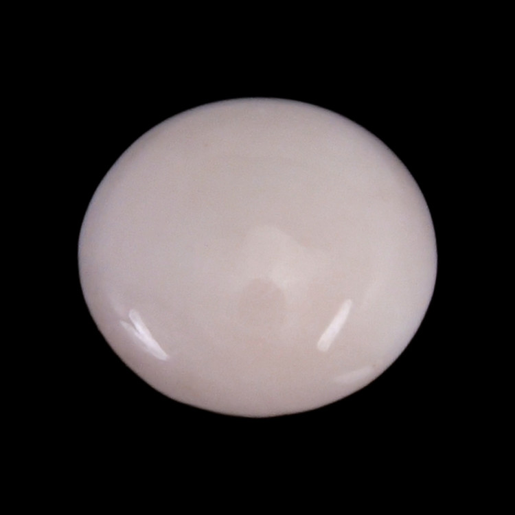 0.50 Ct. Cabochon Coral from Italy