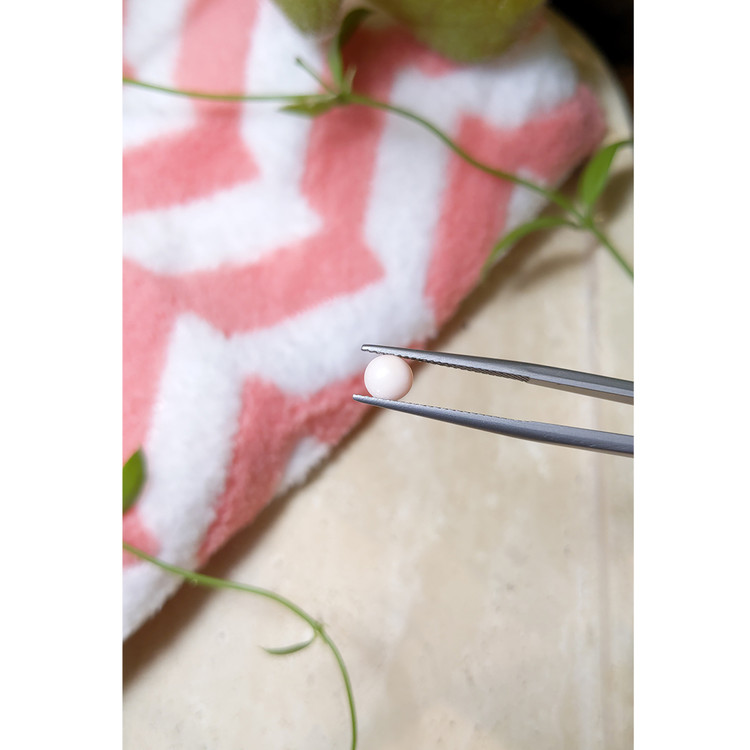 0.50 Ct. Cabochon Coral from Italy