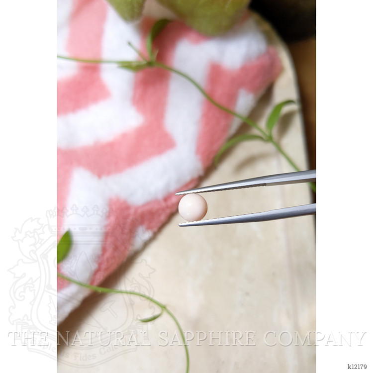 1.04 Ct. Cabochon Coral from Italy