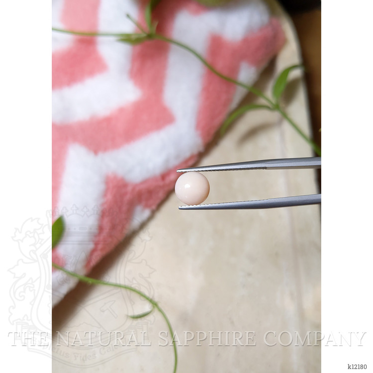 1.44 Ct. Cabochon Coral from Italy