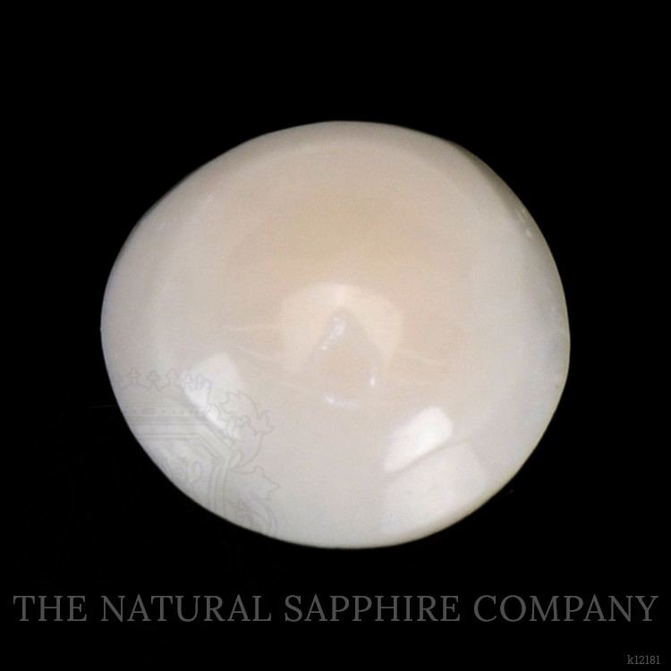 0.31 Ct. Cabochon Coral from Italy