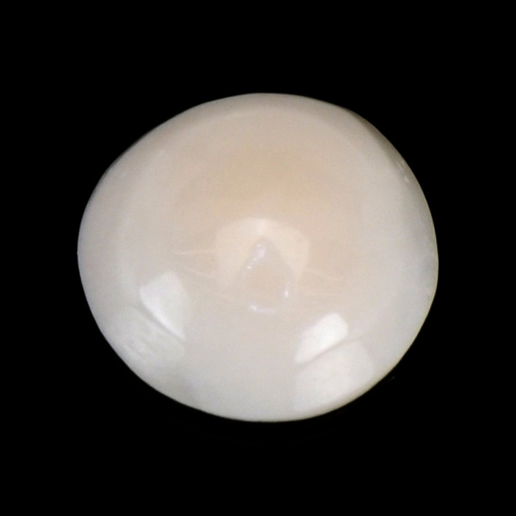 0.31 Ct. Cabochon Coral from Italy