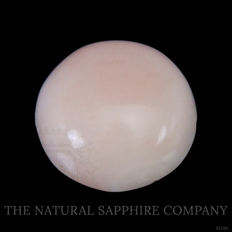 2.70 Ct. Cabochon Coral from Italy