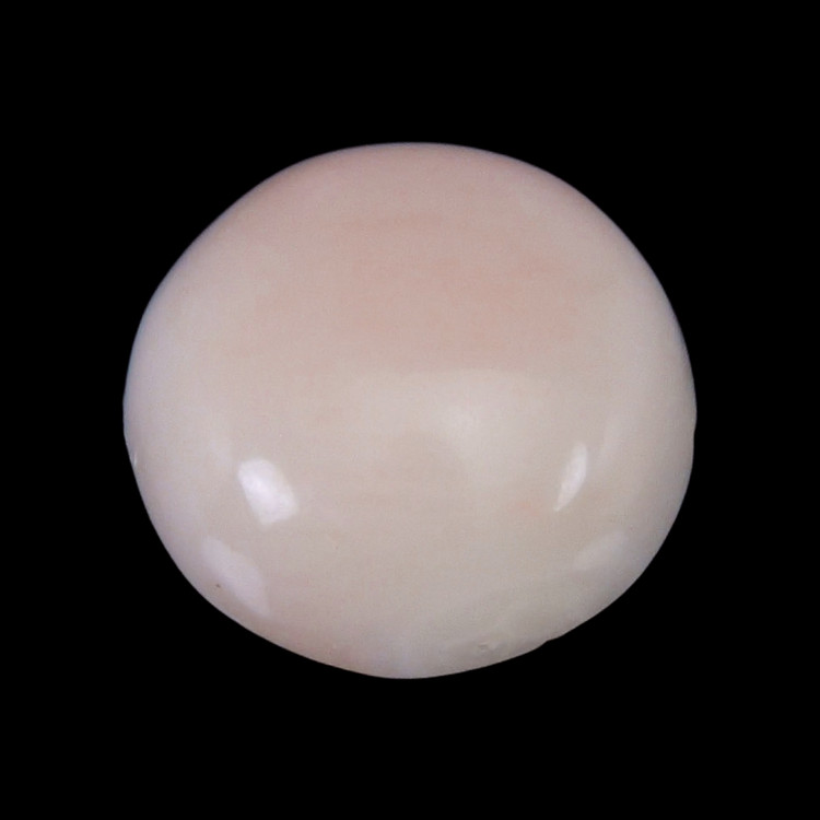 2.70 Ct. Cabochon Coral from Italy