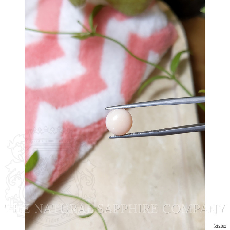 2.70 Ct. Cabochon Coral from Italy