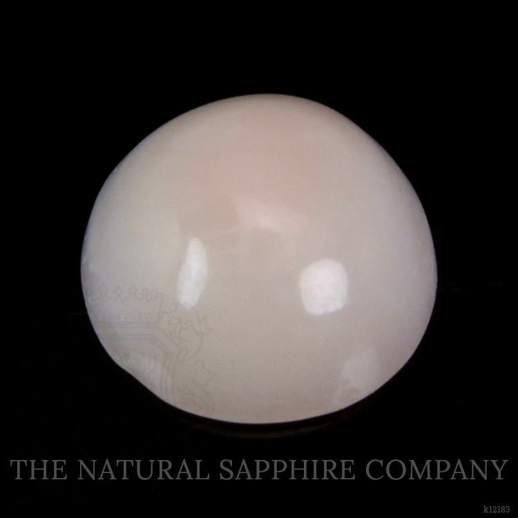 0.66 Ct. Cabochon Coral from Italy