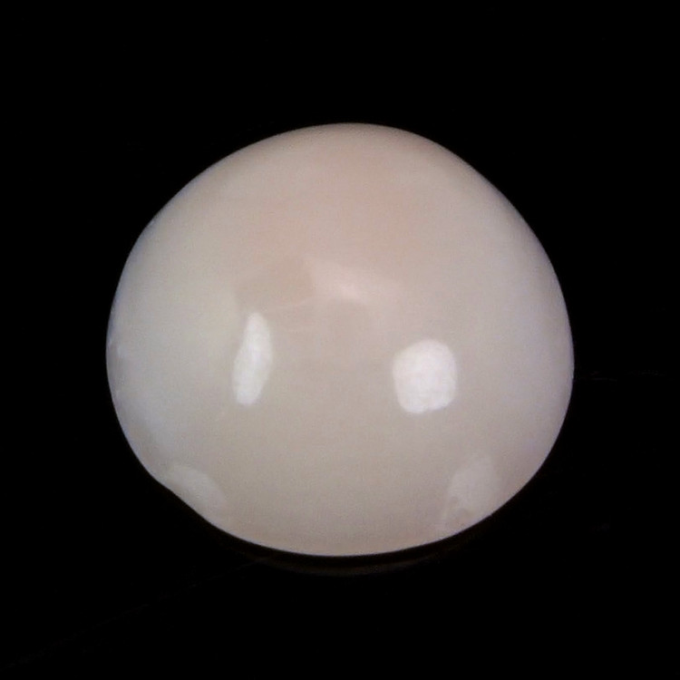 0.66 Ct. Cabochon Coral from Italy