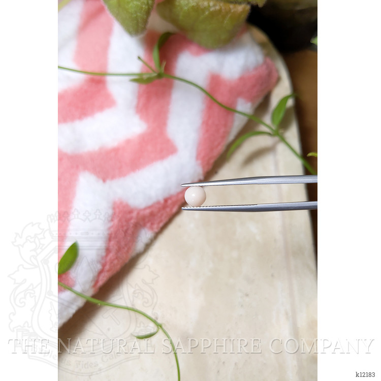 0.66 Ct. Cabochon Coral from Italy