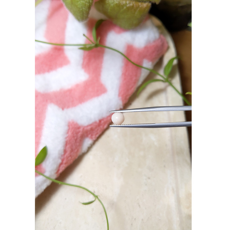 0.66 Ct. Cabochon Coral from Italy