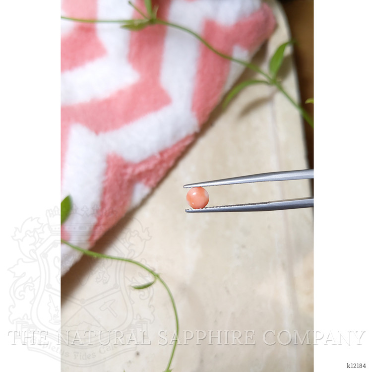 0.40 Ct. Cabochon Coral from Italy