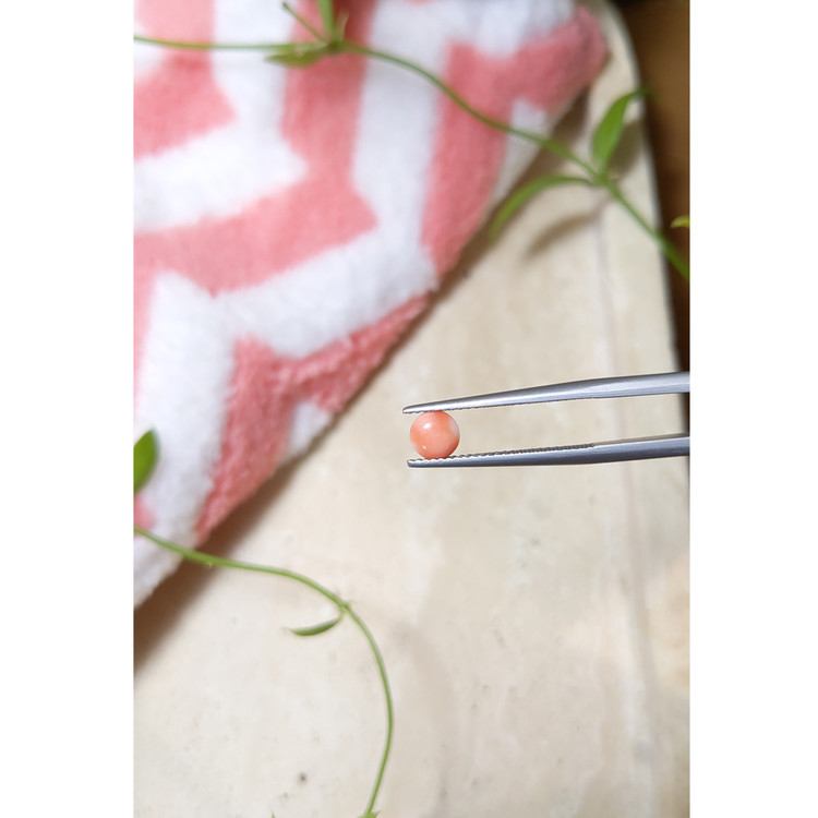 0.40 Ct. Cabochon Coral from Italy