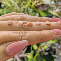 12.34 Ct. Cabochon Coral from Italy Life Style