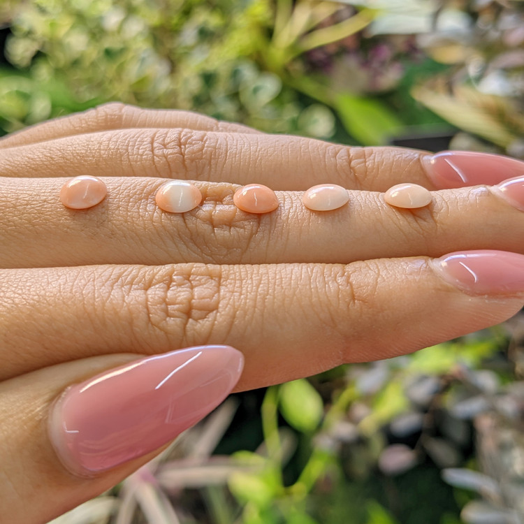 12.34 Ct. Cabochon Coral from Italy