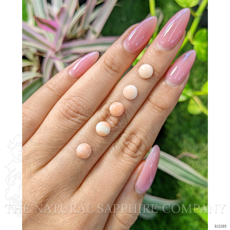 12.34 Ct. Cabochon Coral from Italy