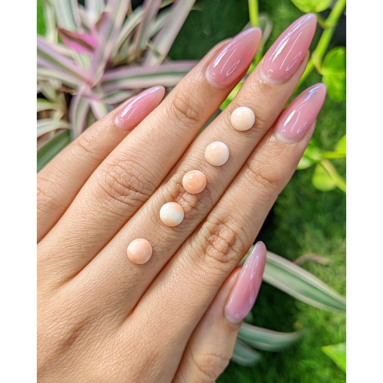 12.34 Ct. Cabochon Coral from Italy