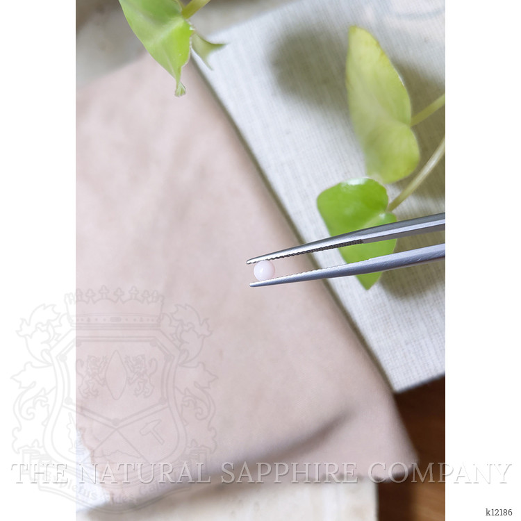 0.15 Ct. Cabochon Coral from Italy