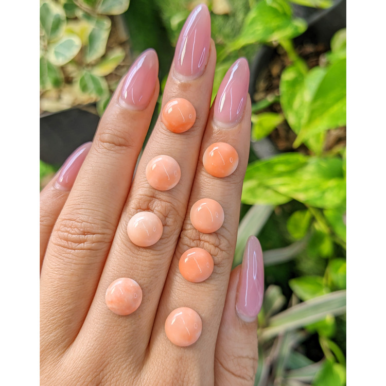 21.37 Ct. Cabochon Coral from Italy