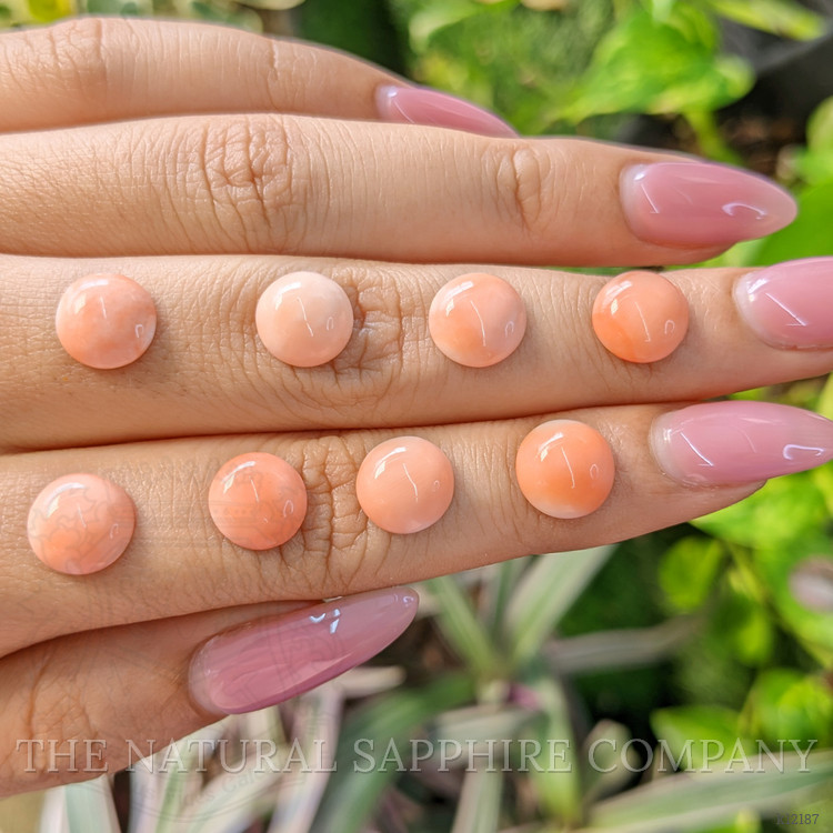 21.37 Ct. Cabochon Coral from Italy