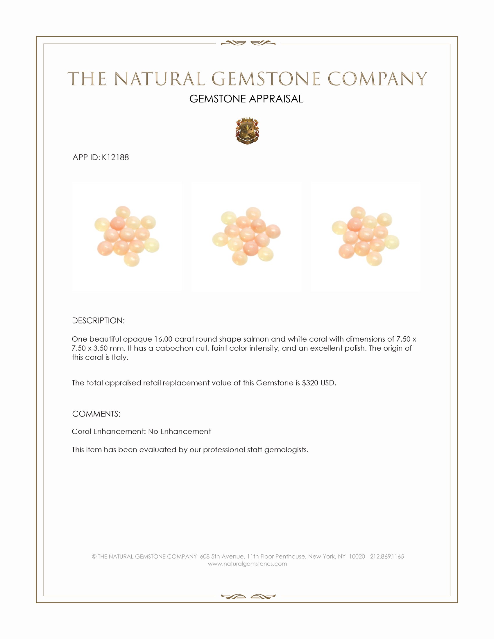 16.00 Ct. Cabochon Coral from Italy