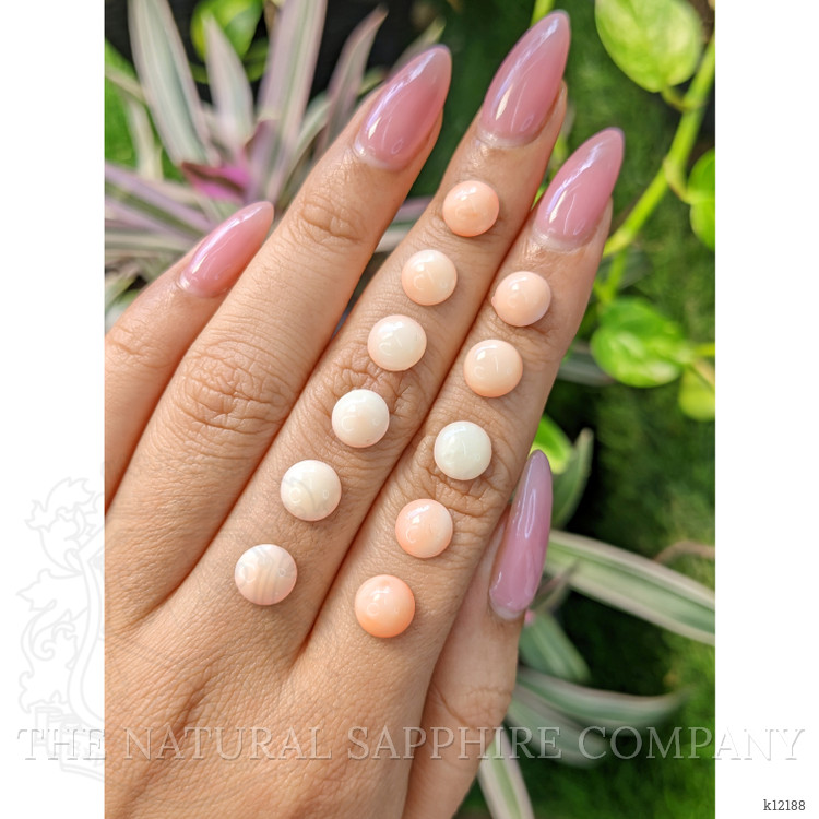 18.07 Ct. Cabochon Coral from Italy