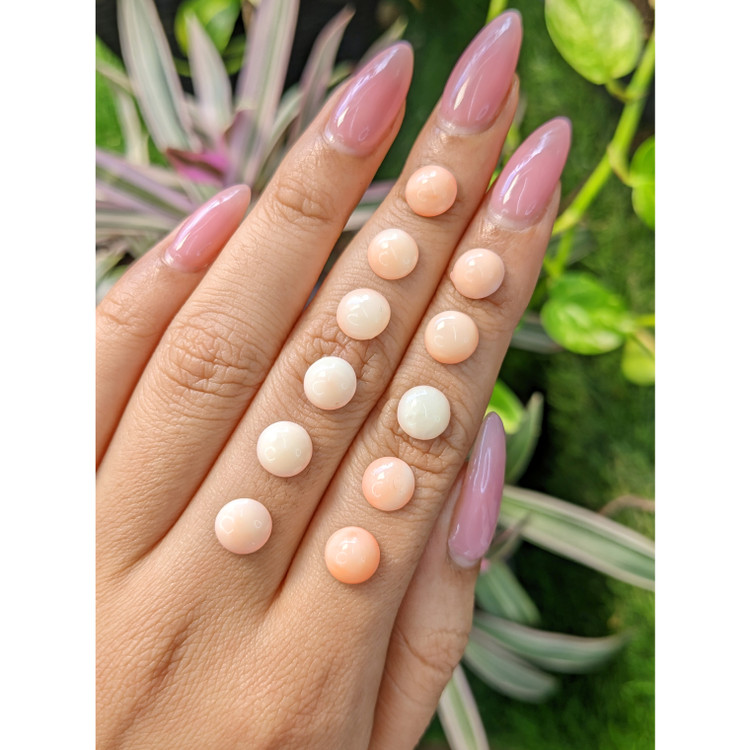 18.07 Ct. Cabochon Coral from Italy