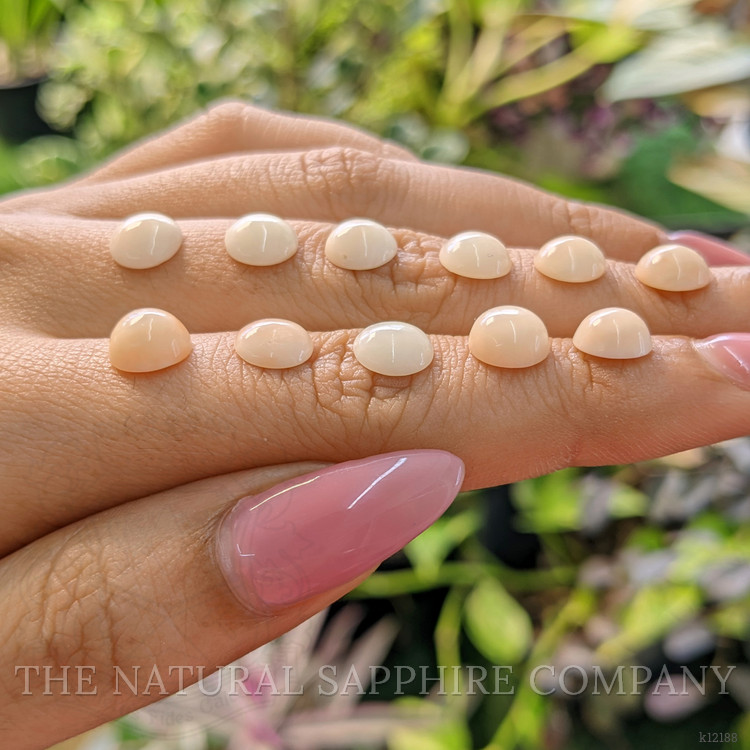 18.07 Ct. Cabochon Coral from Italy