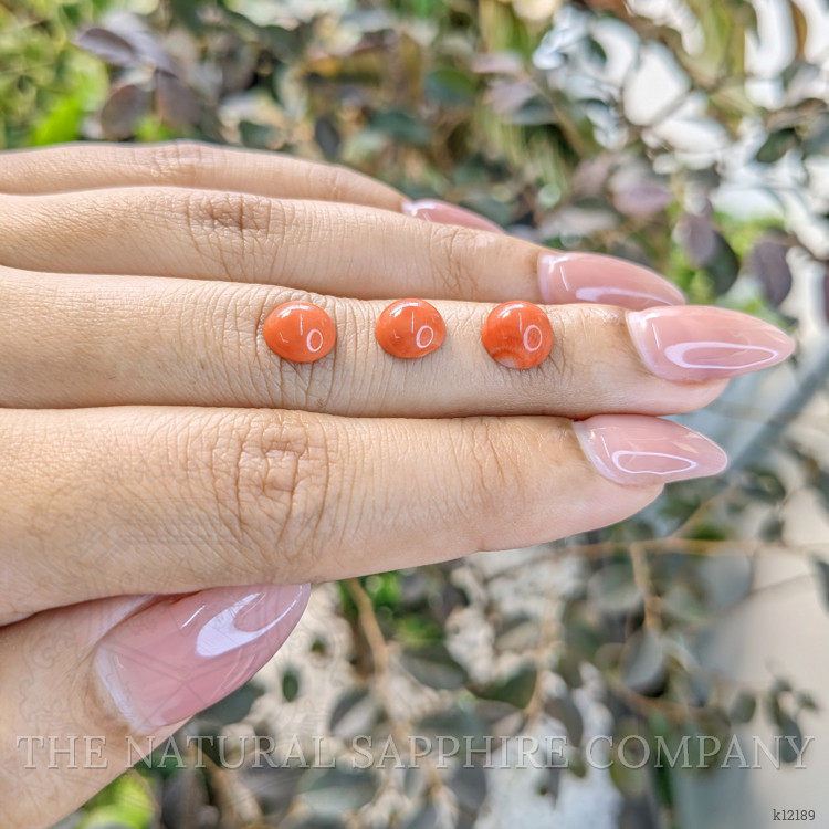 3.92 Ct. Cabochon Coral from Italy