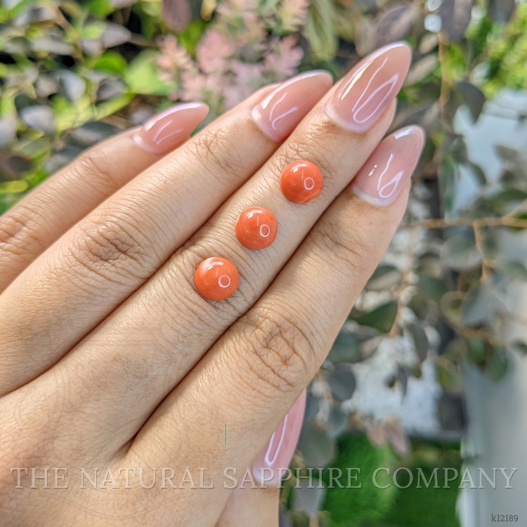 3.92 Ct. Cabochon Coral from Italy