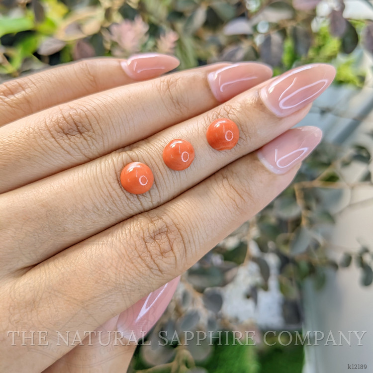 3.92 Ct. Cabochon Coral from Italy