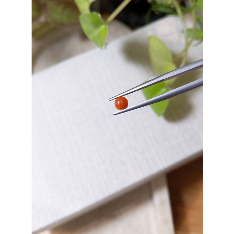 0.32 Ct. Cabochon Coral from Italy