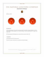 1.69 Ct. Salmon and White Coral from Italy Appraisal