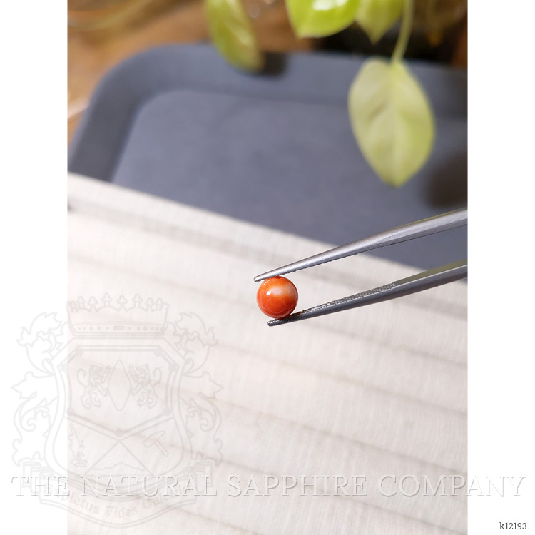 1.69 Ct. Salmon and White Coral from Italy