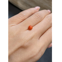 2.24 Ct. Salmon (Orange) Coral from Italy Life Style