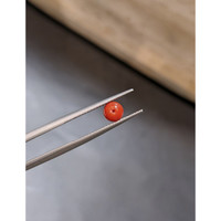 2.24 Ct. Salmon (Orange) Coral from Italy Life Style