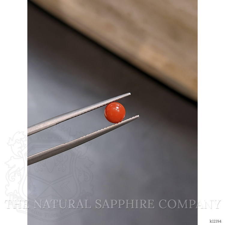 2.24 Ct. Salmon (Orange) Coral from Italy