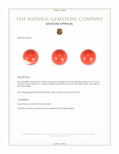 0.67 Ct. Coral from Italy Appraisal