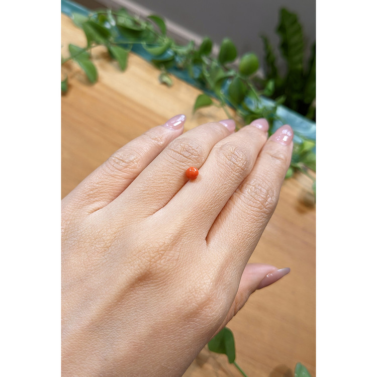 0.67 Ct. Cabochon Coral from Italy