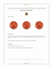 5.57 Ct. Salmon (Orangish Red) Coral from Italy Appraisal