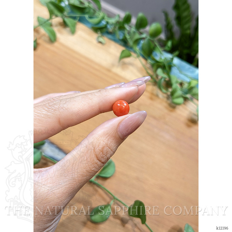 5.57 Ct. Cabochon Coral from Italy