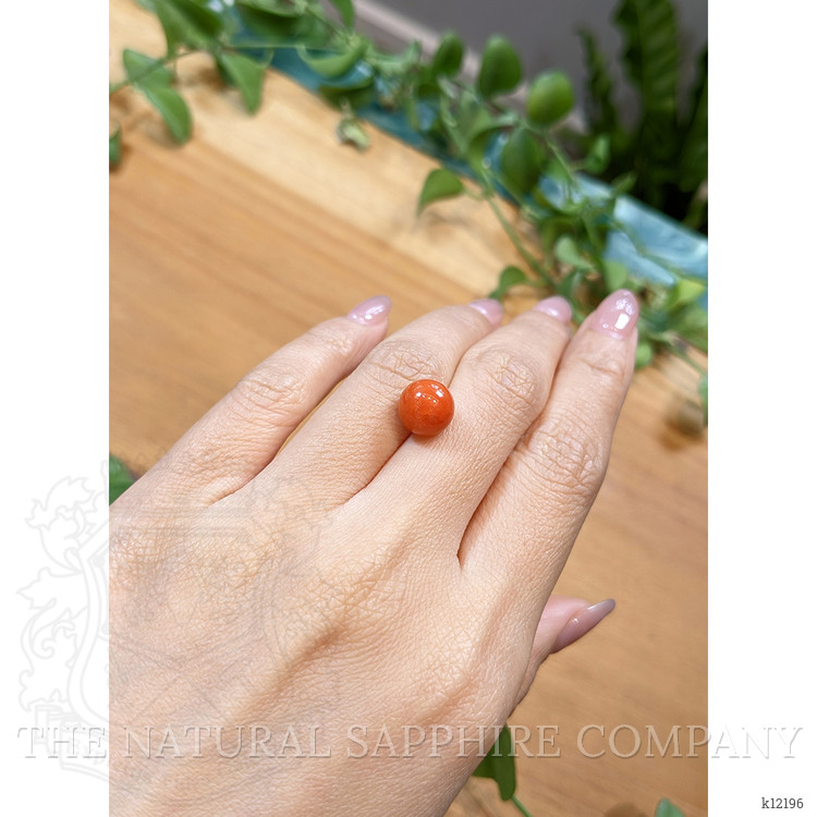 5.57 Ct. Cabochon Coral from Italy
