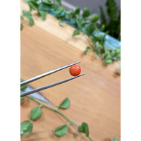 5.57 Ct. Coral from Italy Life Style